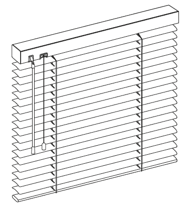 SW 25mm Standard